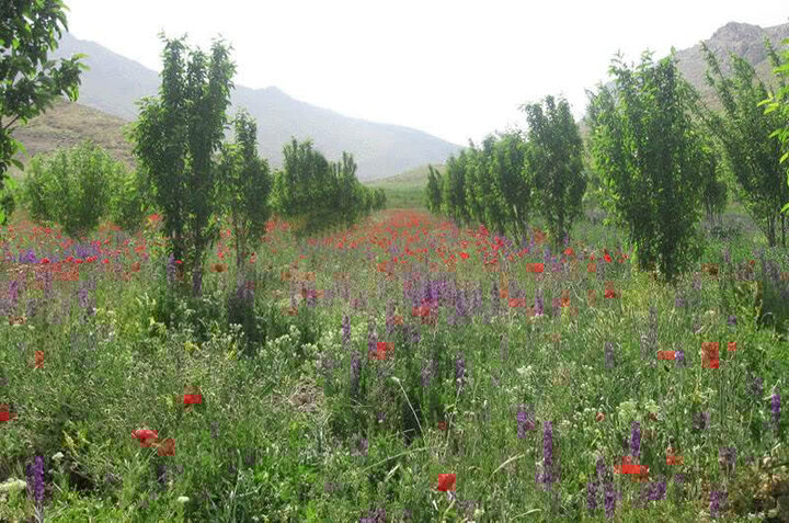 سمیرم؛ بهشت گمشده زاگرس برای مسافران نوروزی