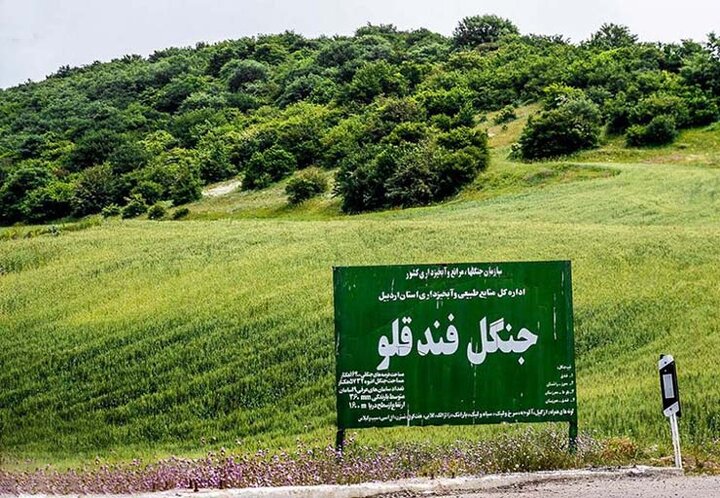 نمین؛ شهر گل‌های افسانه‌ای میزبان مسافران نوروزی