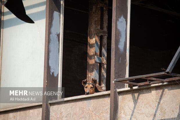 گامبهگام باساختمان مهمی که مخروبه شد!/هزینه میلیاردی برای «هیچ»