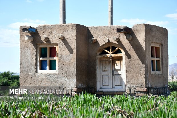 Nowruz elements in Birjand
