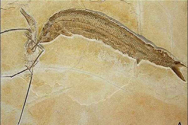 سفر به کمیجان؛ دیاری کهن با جاذبه های طبیعی ناشناخته