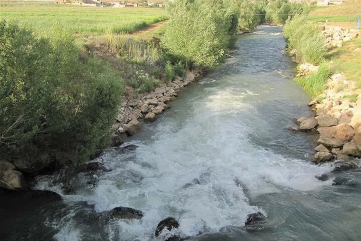 فریدون شهر عروس طبیعت اصفهان / پونهزار در گوش انسان نجوا میکند