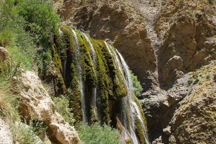 فریدون شهر عروس طبیعت اصفهان / پونهزار در گوش انسان نجوا میکند