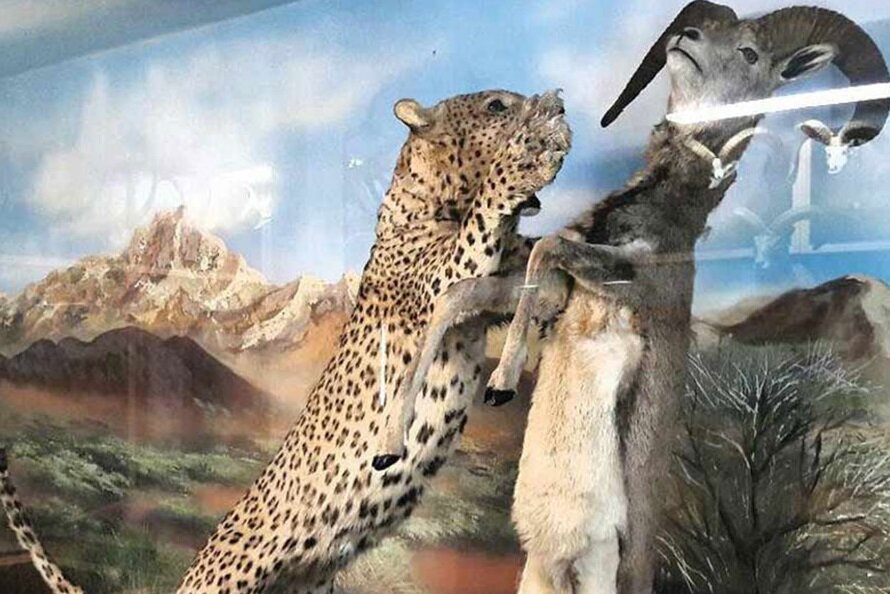 موزههای استان سمنان دنیای شگرف از فرهنگ ایرانی / سفر به عمق تاریخ 3