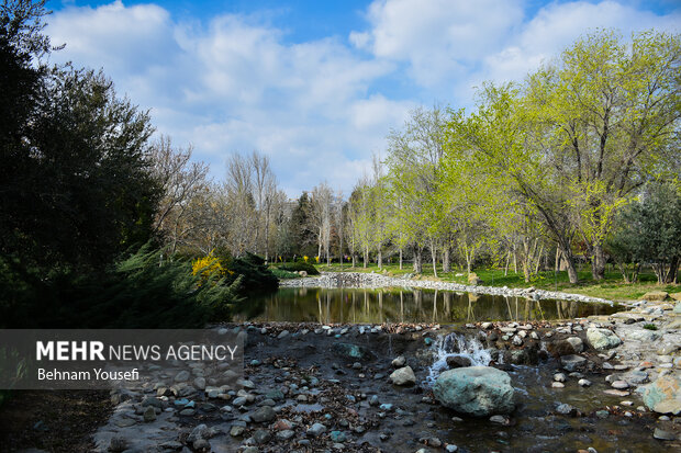 باغ گیاه شناسی ملی ایران