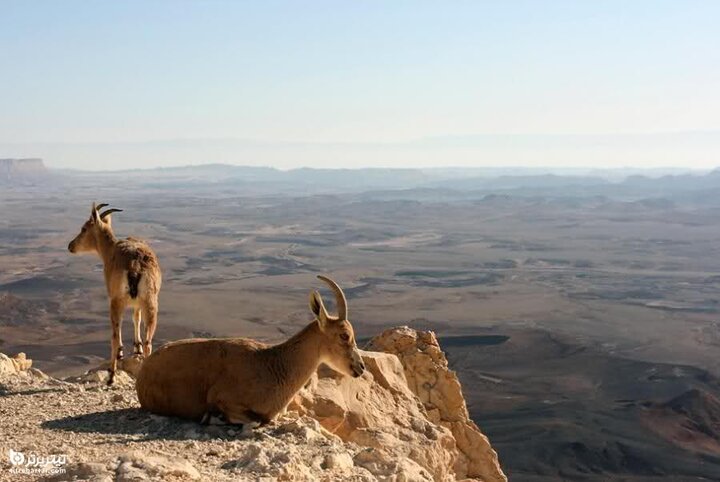 معرفی جاذبه های گردشگری آشتیان/سرزمینی کهن با هویت دینی و تاریخی