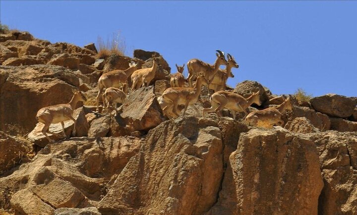 معرفی جاذبه های گردشگری آشتیان/سرزمینی کهن با هویت دینی و تاریخی