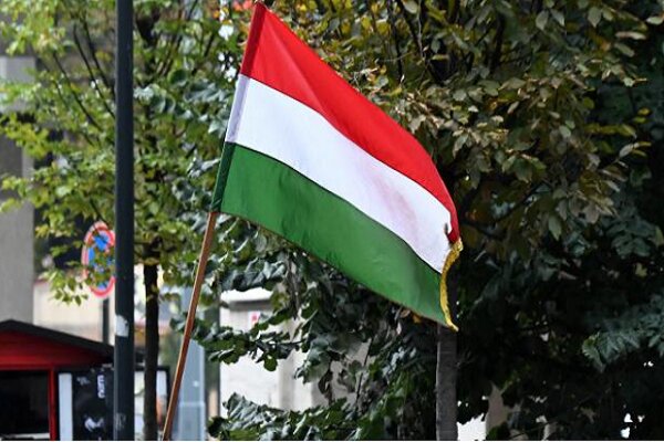 Macaristan'dan İsveç'e NATO uyarısı