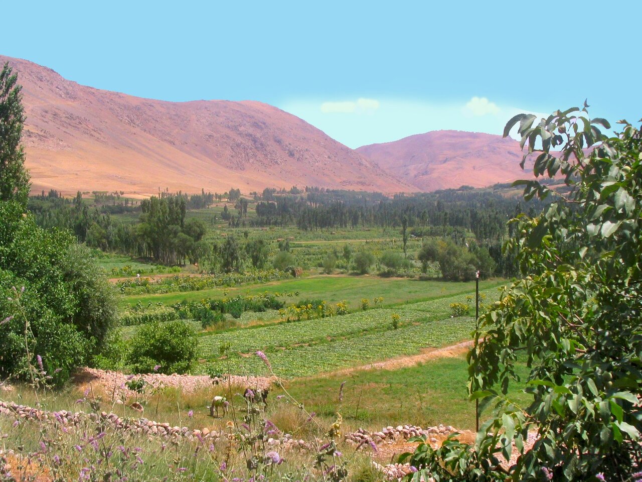 دیار «فرزانگان» چشمبهراه مسافران نوروزی