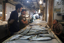 سرانه مصرف ماهی در لرستان پایین‌تر از میانگین کشوری است