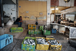 مدیریت بازارچه ماهی فروشان قشم به شهرداری واگذار می شود