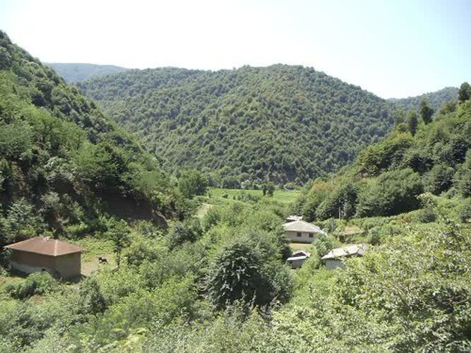 پرواز در آسمان «رشته رود» نگین جنگل‌های هیرکانی گیلان