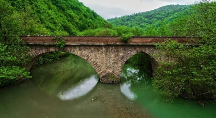 پرواز در آسمان «رشته رود» نگین جنگل‌های هیرکانی گیلان