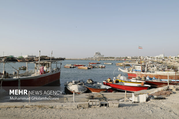 گردشگری دریایی، مسافران نوروزی، ظرفیت دریا، گردشگری، ساحل بوشهر، قایق سواری