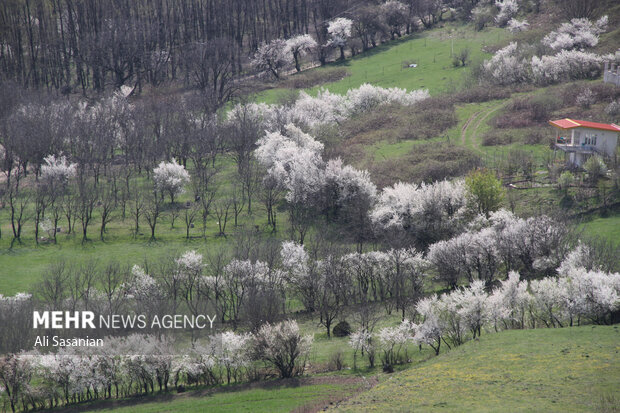 گردنه حیران مقصد گردشگران نوروزی