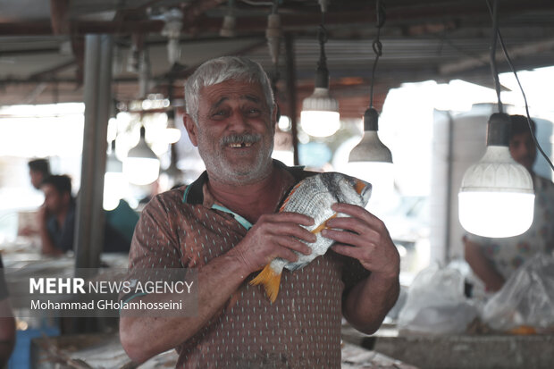 بازار ماهی فروشان بوشهر در نوروز 1402