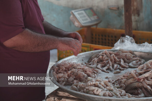 بازار ماهی فروشان بوشهر در نوروز 1402