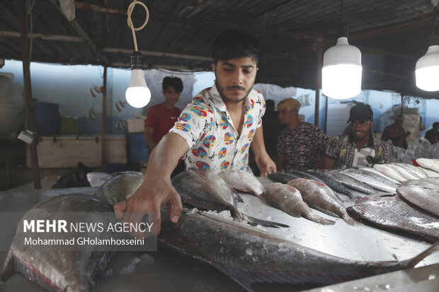بازار ماهی فروشان بوشهر در نوروز 1402