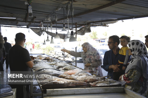 بازار ماهی فروشان بوشهر در نوروز 1402