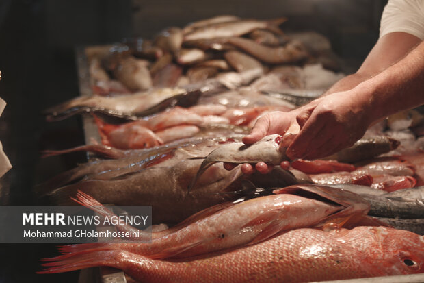 بازار ماهی فروشان بوشهر در نوروز 1402