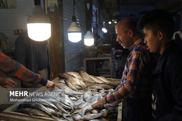 بازار ماهی فروشان بوشهر در نوروز 1402