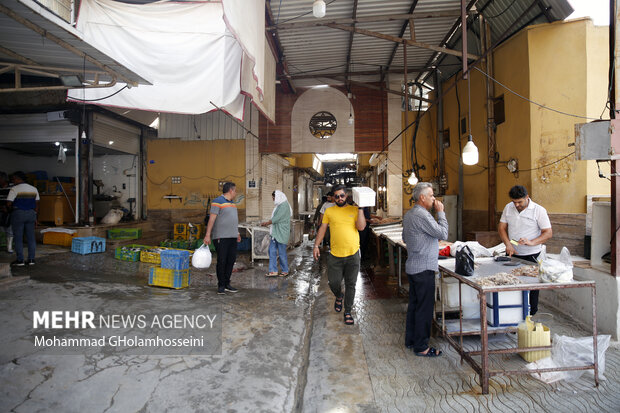 کشف و ضبط آبزیان حرام گوشت در شهر اهواز