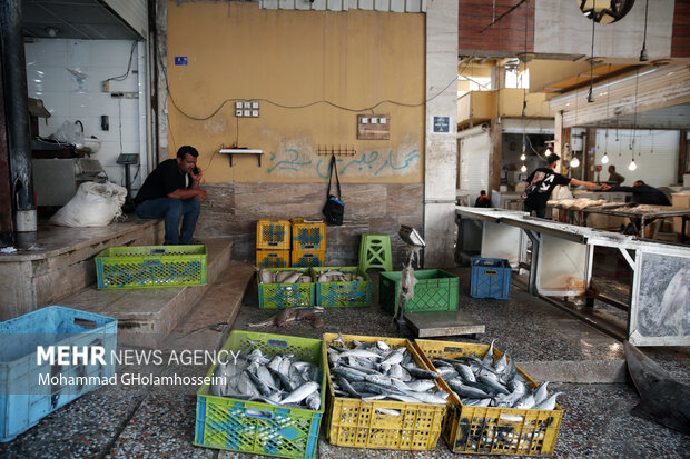 بازار ماهی فروشان بوشهر در نوروز 1402