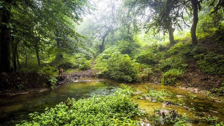آبشار ۷۰متری و برکه سحرانگیز سولوکلی/رقص عیدانه آهوان تمامی ندارد