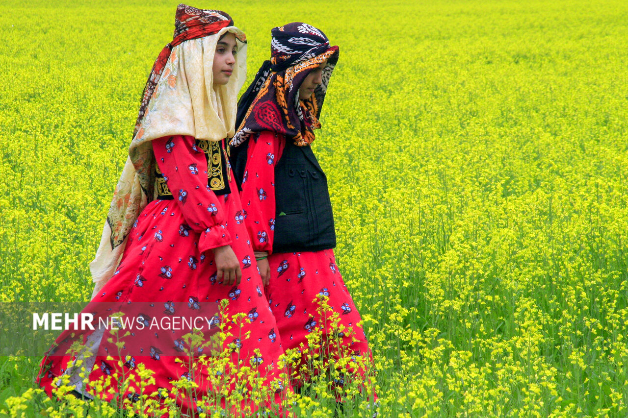 بیحجابی خط مقدم و عامل ایجاد بحران در خانواده