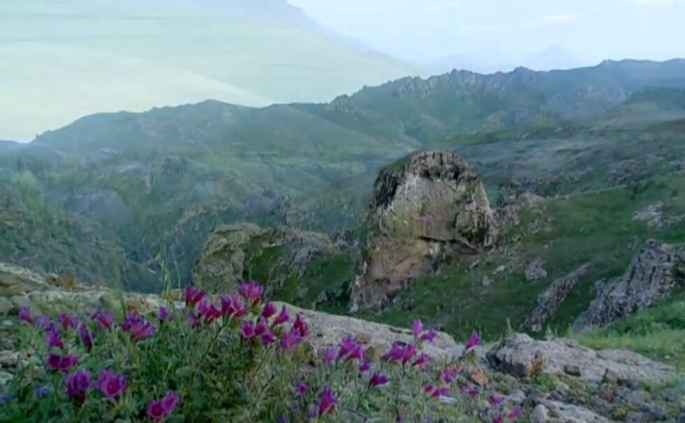 گذراندن «روز طبیعت»در سایه سار درختان و نسیم رودها