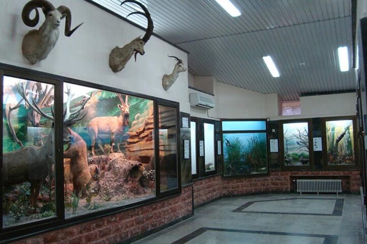 آبشار ۷۰متری و برکه سحرانگیز سولوکلی/رقص عیدانه آهوان تمامی ندارد