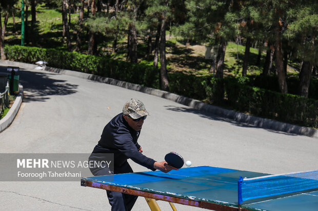 Nature Day in Tehran