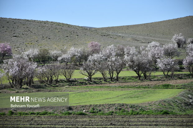 سیزده بدر ، یکی از زیباترین رسوم ایرانی