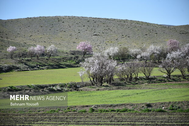 سیزده بدر ، یکی از زیباترین رسوم ایرانی