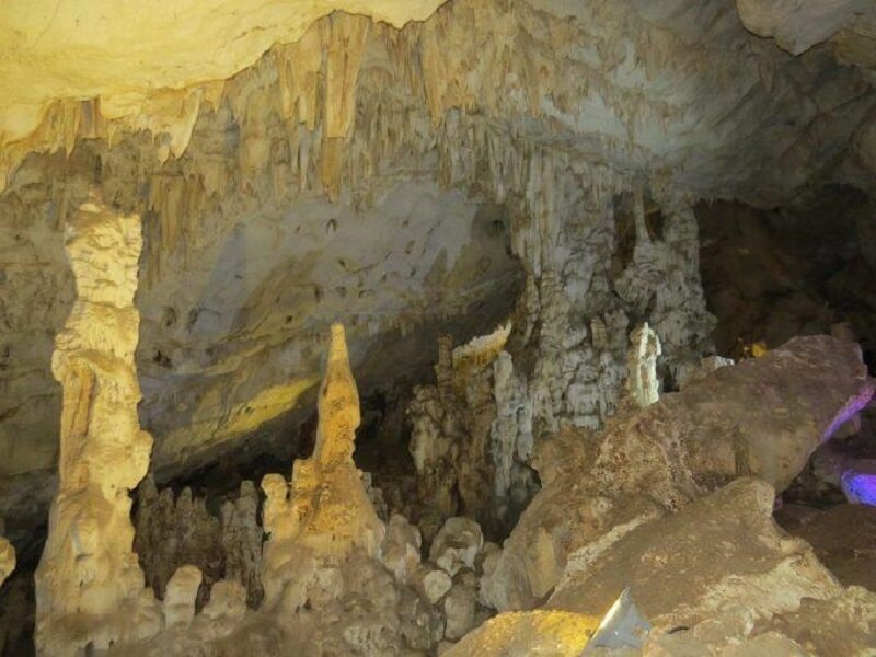 گذراندن «روز طبیعت»در سایه سار درختان و نسیم رودها