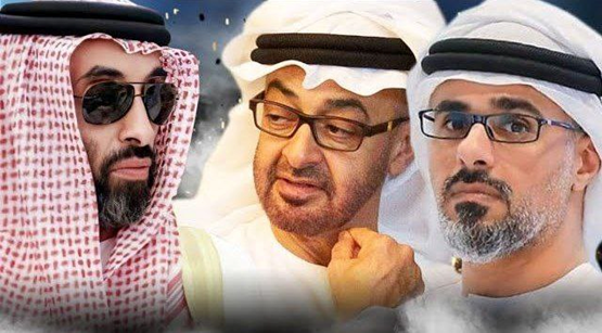 کودتای نرم محمد بن زاید در امارات