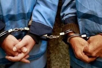 سارقان سیم و کابل در اردبیل دستگیر شدند