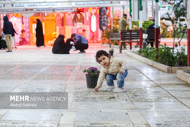 شستشو و رنگ آمیزی مجدد قبور شهدای قم