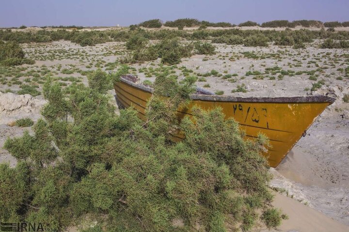 هشدار درباره وضعیت هامون/اجحاف در حق تاریخی و بینالمللی ایران