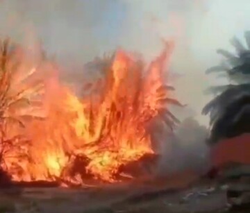 آتش سوزی در نخلستان در خور و بیابانک