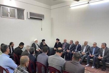 دیدار آیت الله سیستانی با پزشکان عراقی