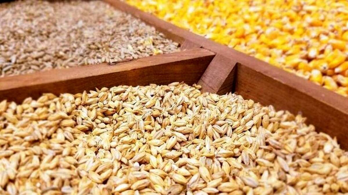 برنامه‌ریزی برای جذب ۷۸ هزار تن ماده خام کشاورزی در استان قزوین