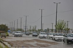 رانندگان در مسیرهای استان بوشهر مراقب وضعیت بارندگی باشند