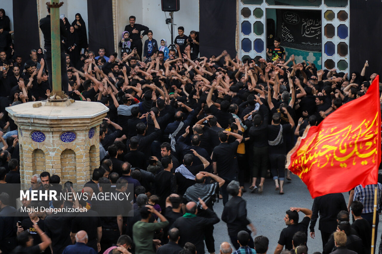 نخلبرداری عاشورا در مناطق مختلف استان یزد برگزار شد