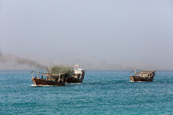 ایران در آبهای آزاد برای کشتی های تجاری امنیت ایجاد کرده است