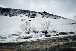 تداوم بارش برف در آذربایجان غربی/دمای هوا کاهش می یابد