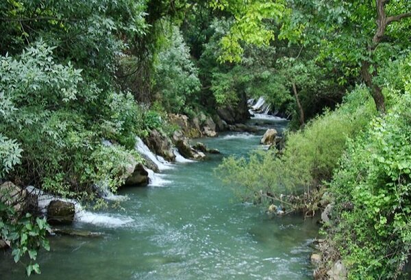 عاملان صید ماهی با موتور برق دستگیر شدند/ کشف ۱۷۴ قطعه ماهی