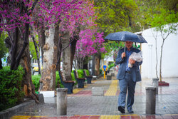 ایرانی شہر اراک میں موسم بہار کی بارش