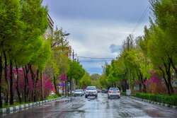 کاهش دما در نیمه شمالی کشور