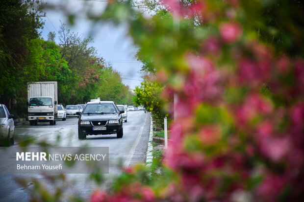 طراوت و زیبایی باران بهاری اراک